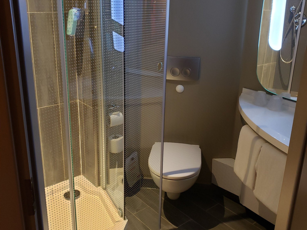 ibis Moscow Domodedovo Airport主图