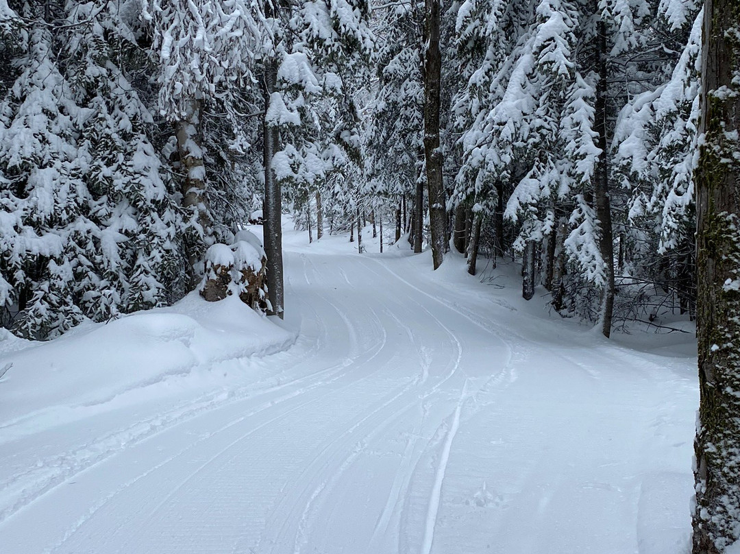 Timber Creek Cross Country Ski Area景点图片