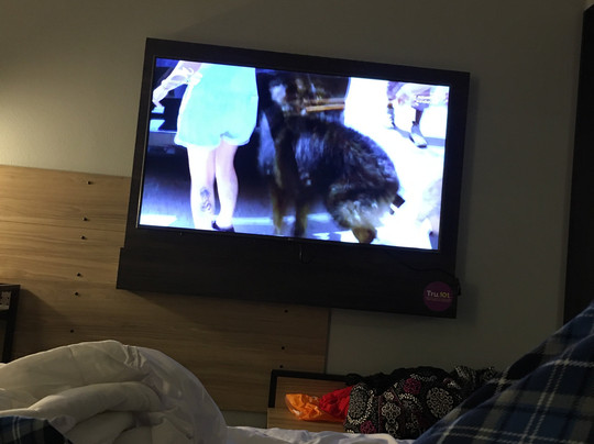 Tru by Hilton Atlanta NW Kennesaw主图