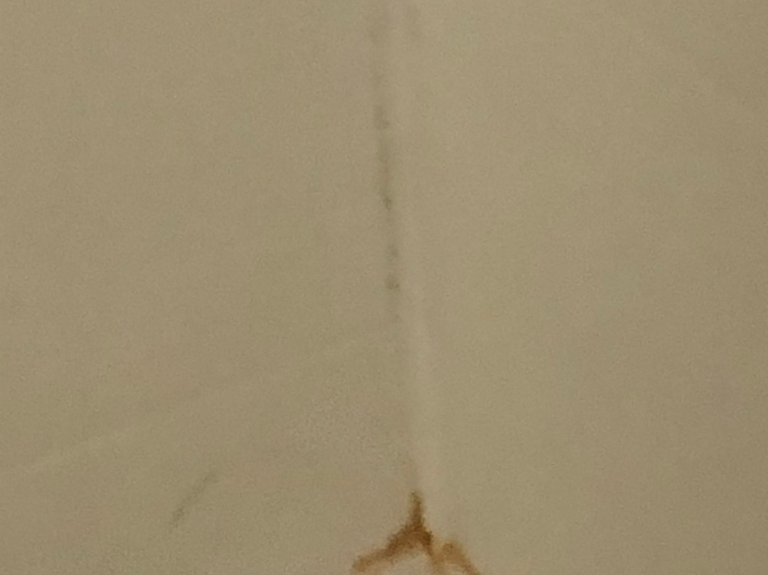 TownePlace Suites by Marriott Dothan主图