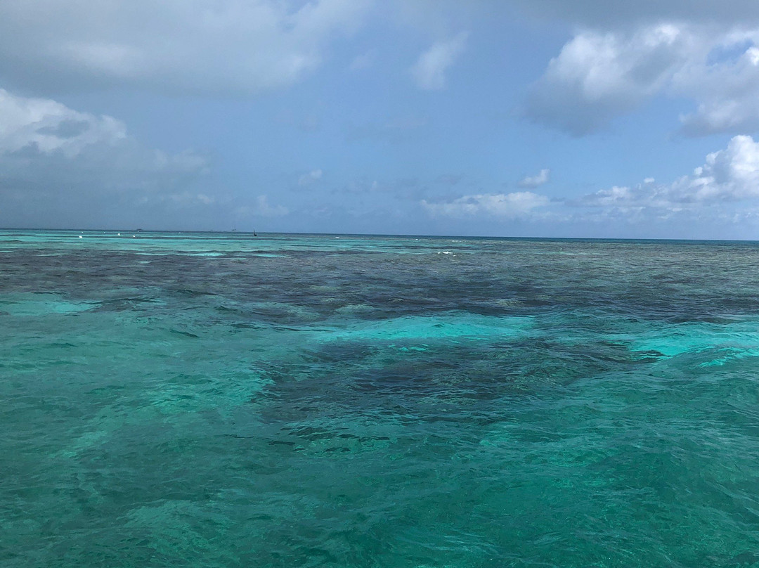 Lucky Fish Scuba-拉哥岛必去景点