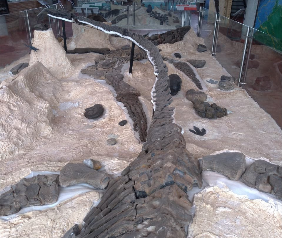 Centro de Investigaciones Paleontologicas - CIP景点图片