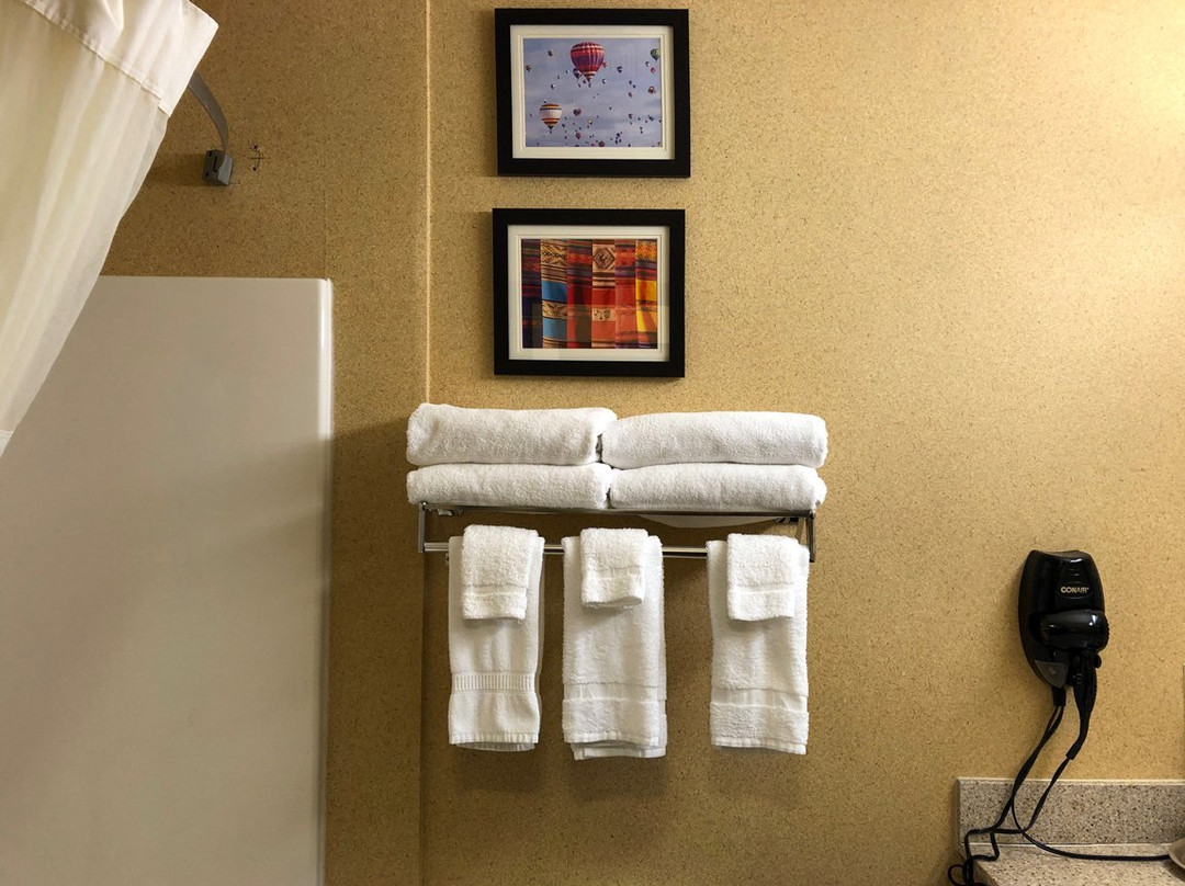 Comfort Inn & Suites主图