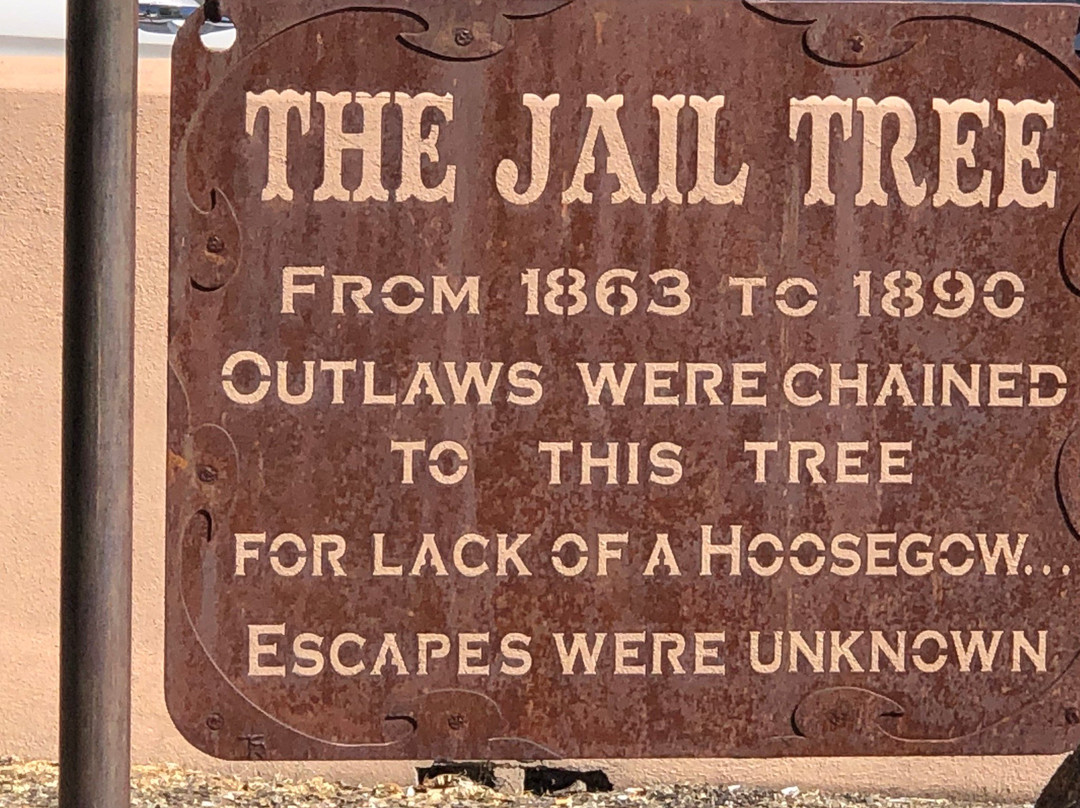 The Jail Tree-Wickenburg必去景点