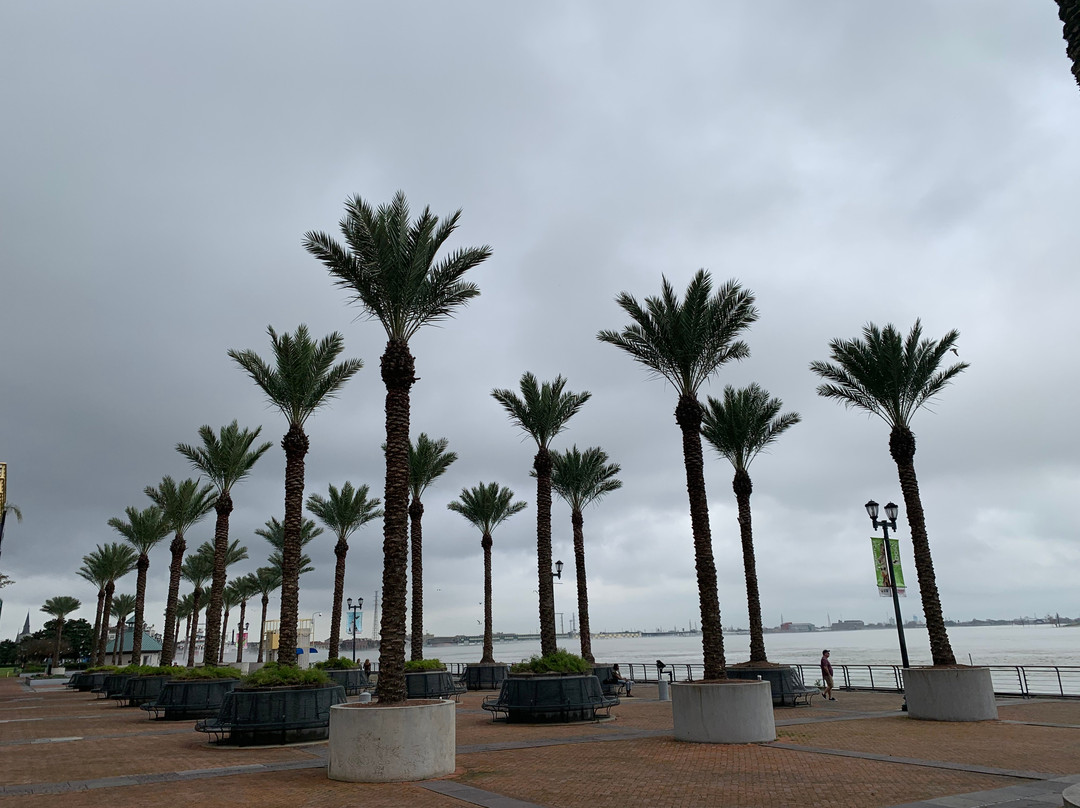 Woldenberg Riverfront Park-新奥尔良必去景点