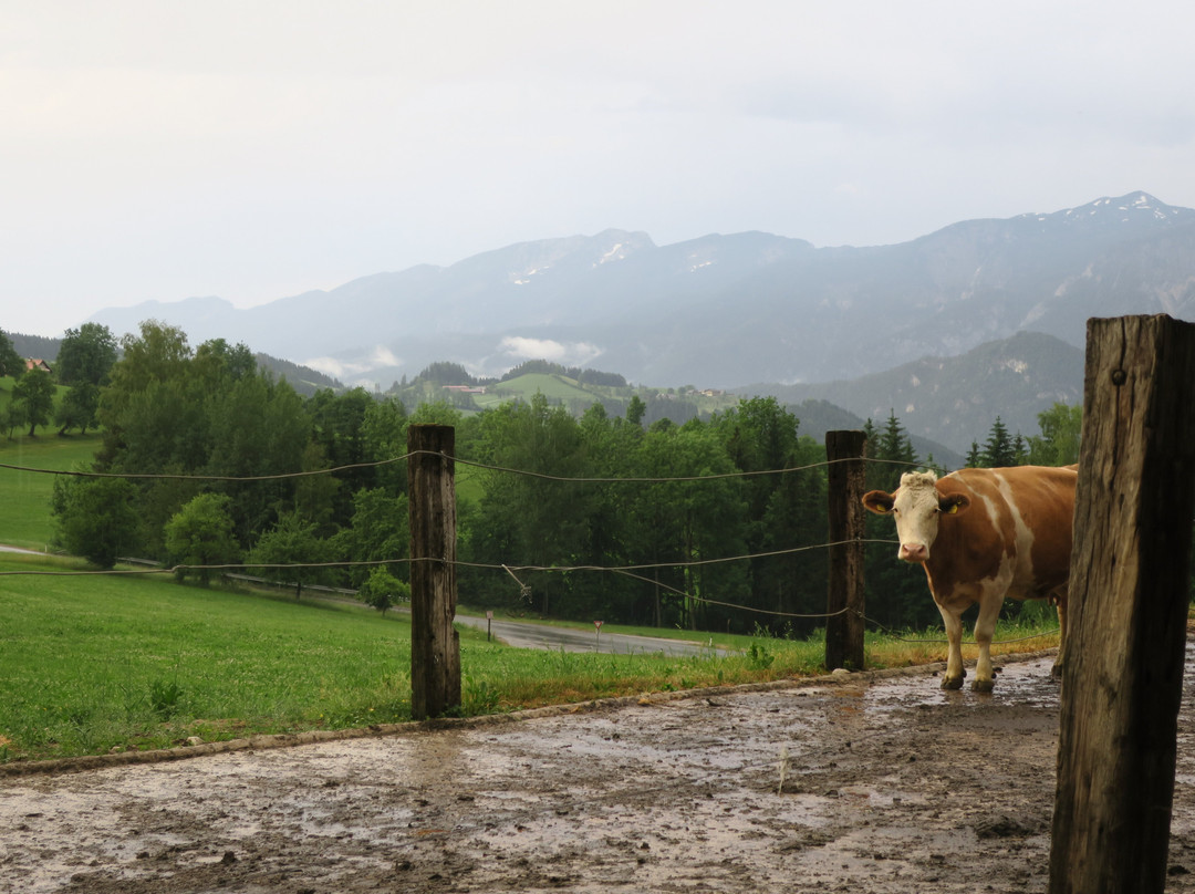 Ferienhof Breitenbaumer "Zick am Berg"主图