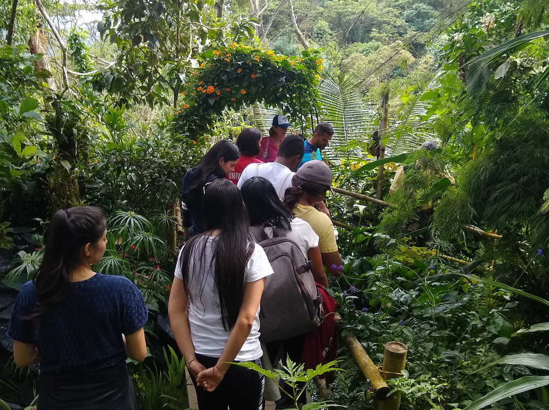 Bichacue Yath Arte & Naturaleza-卡利必去景点