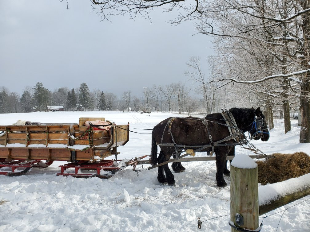 Taylor Farm-Londonderry必去景点