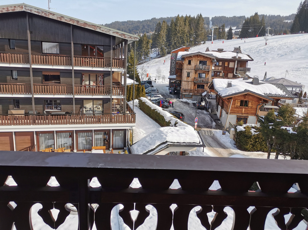 Chalet-Hotel Alpina主图