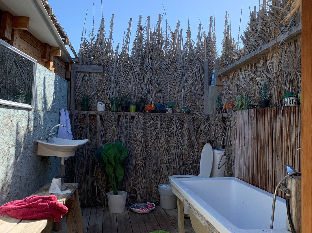 The Desert Olive Farm主图