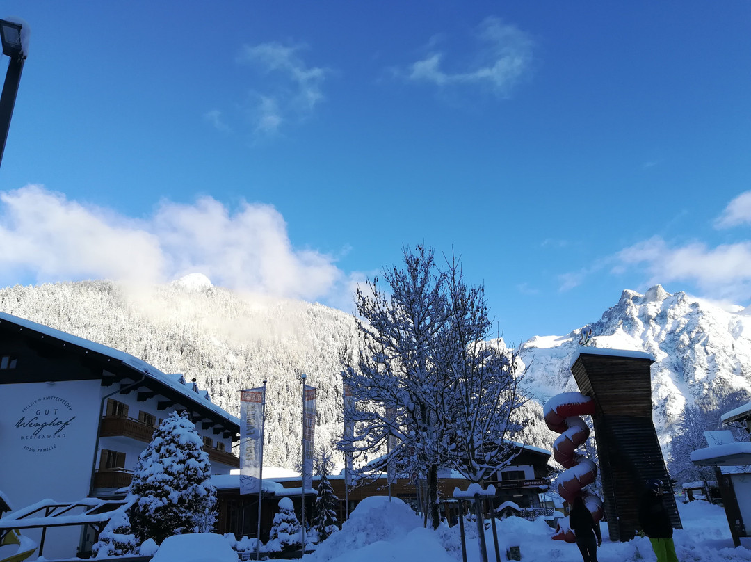 Gut Wenghof - Family Resort Werfenweng主图