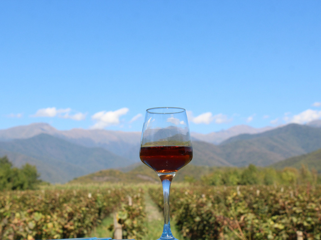 Vineyard Hotel & Winery主图