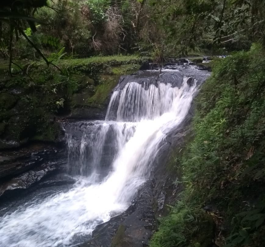 Cachoeiras Sitio Begalke-Benedito Novo必去景点
