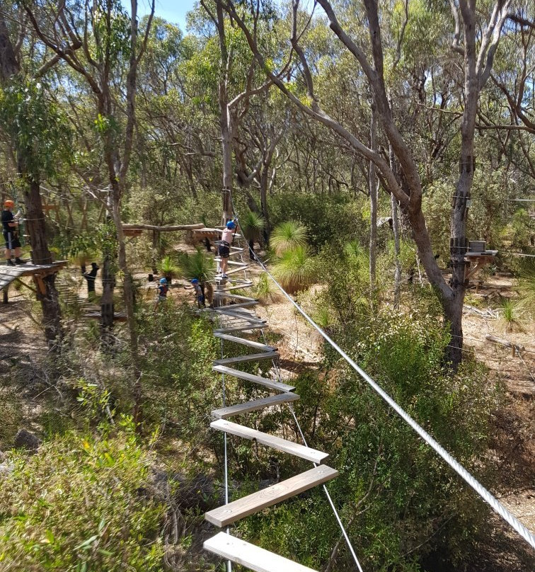 Treetops Adventure Yanchep景点图片