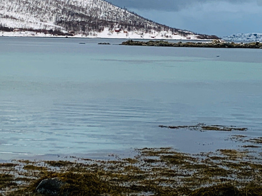 纵享北极圈——极光之旅-特罗姆瑟必去景点