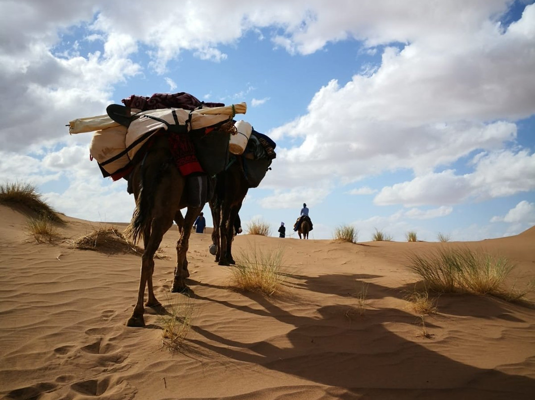 Auberge Salama主图