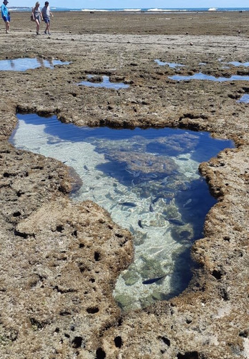Ribeiro Tour-嘎林海斯港必去景点