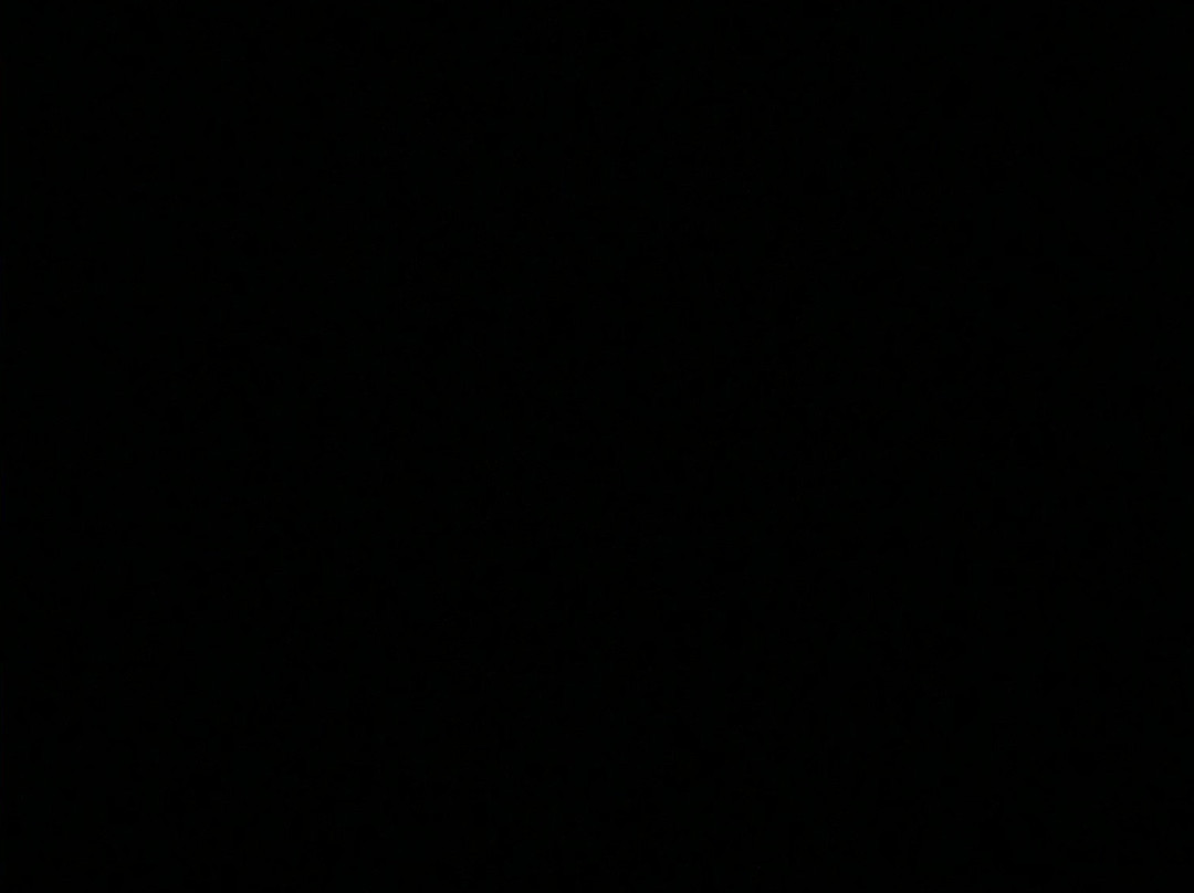 Hotel Stadt Hamburg主图