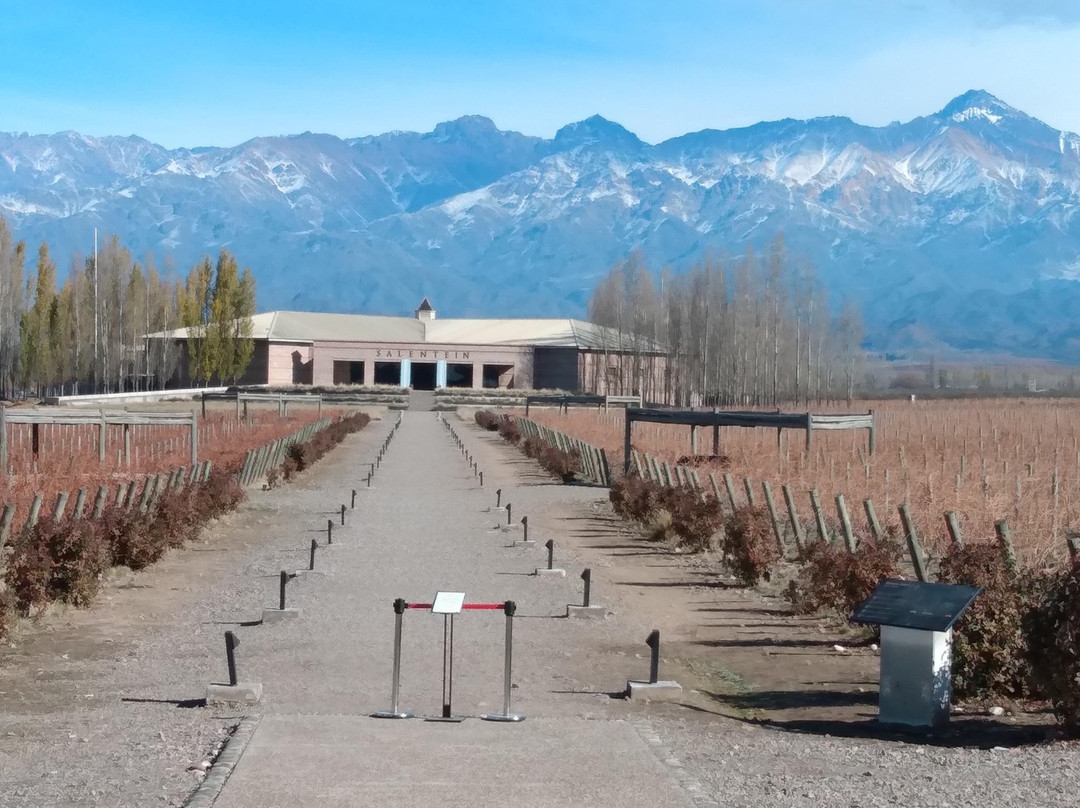 Mendoza Wine trip景点图片