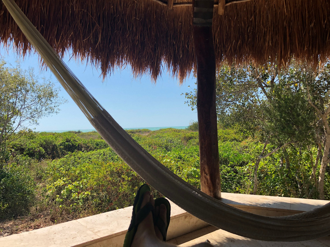 Xixim Mundo Imperial主图