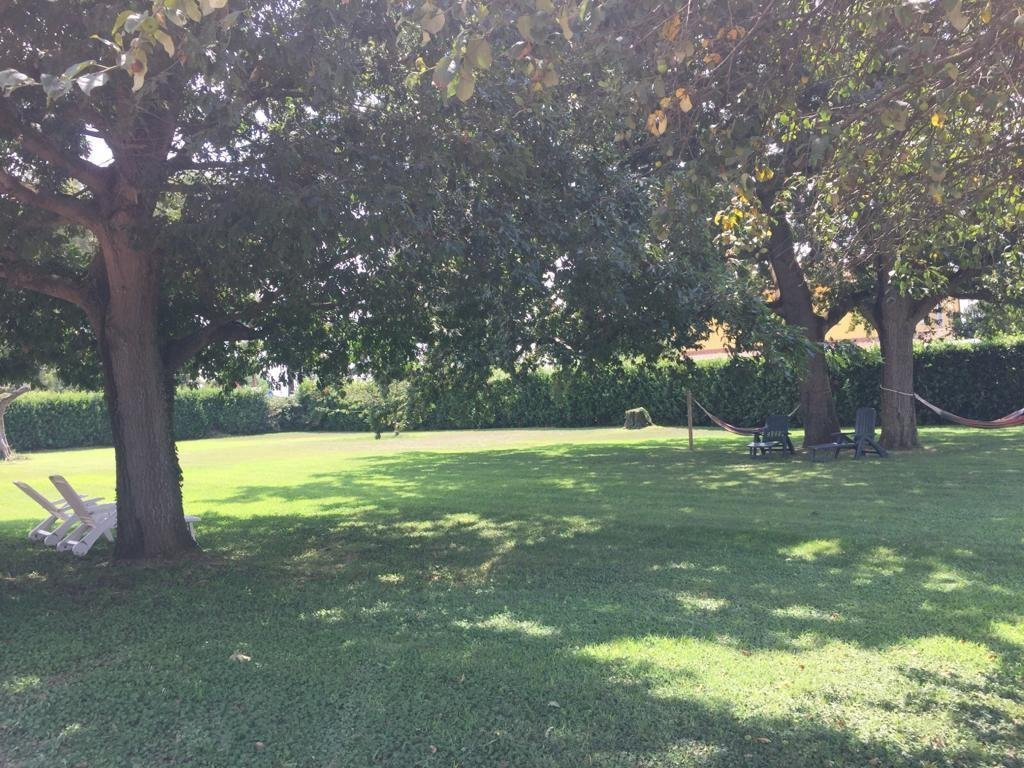 La casa del Moro主图