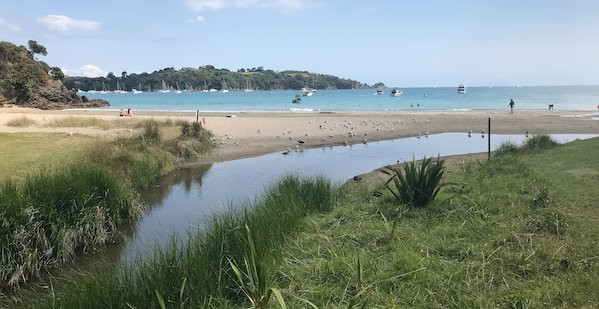 Waiheke Punga Lodge主图