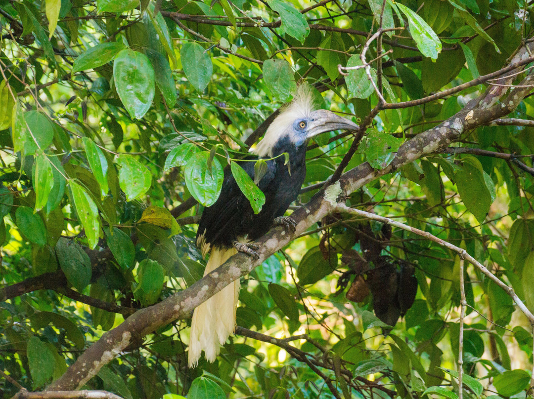 Borneo Beyond Adventure-亚庇必去景点