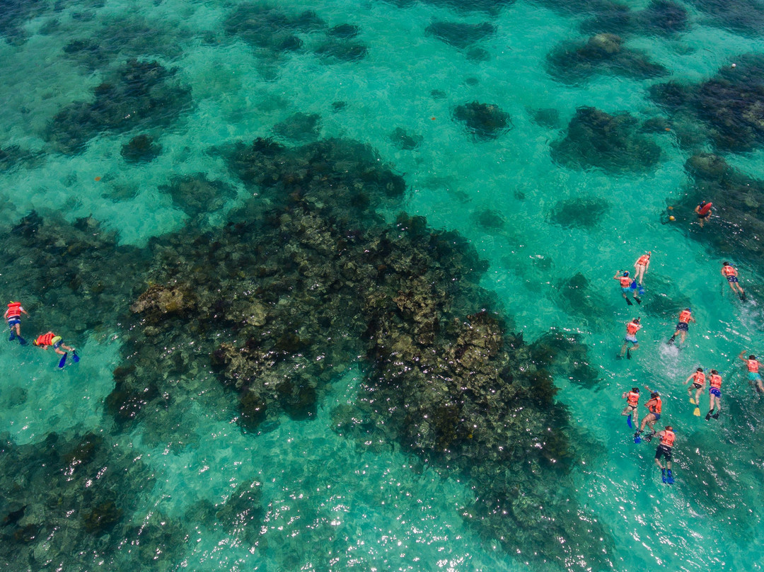 Asterix Contoy Tours-Isla Contoy必去景点