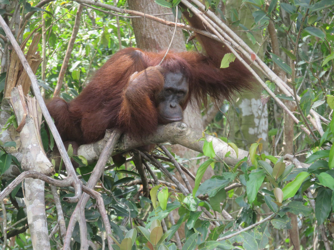 Kaja Island-帕朗卡拉亚必去景点