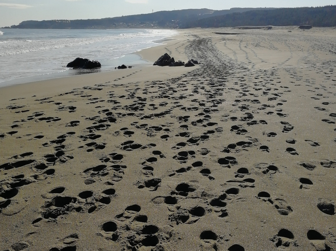 Shirahama Beach-八户市必去景点