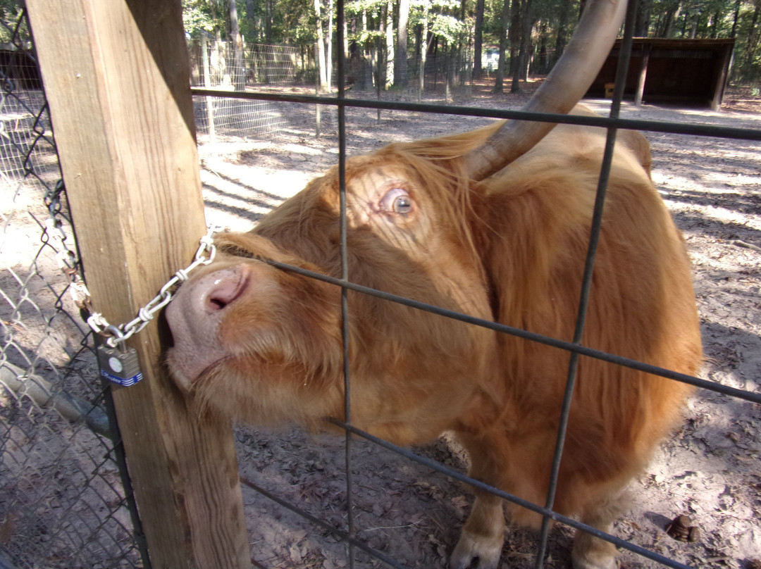 Gators and Friends - Alligator Park & Exotic Zoo-Greenwood必去景点