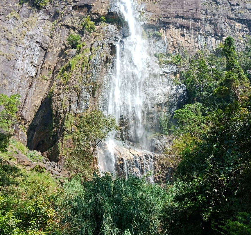 Diyaluma Falls-Koslanda必去景点