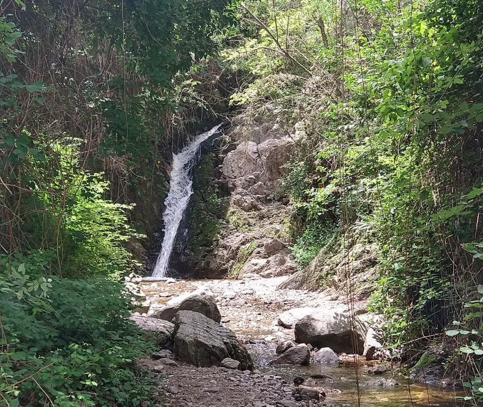Cascada de Los Helechos景点图片