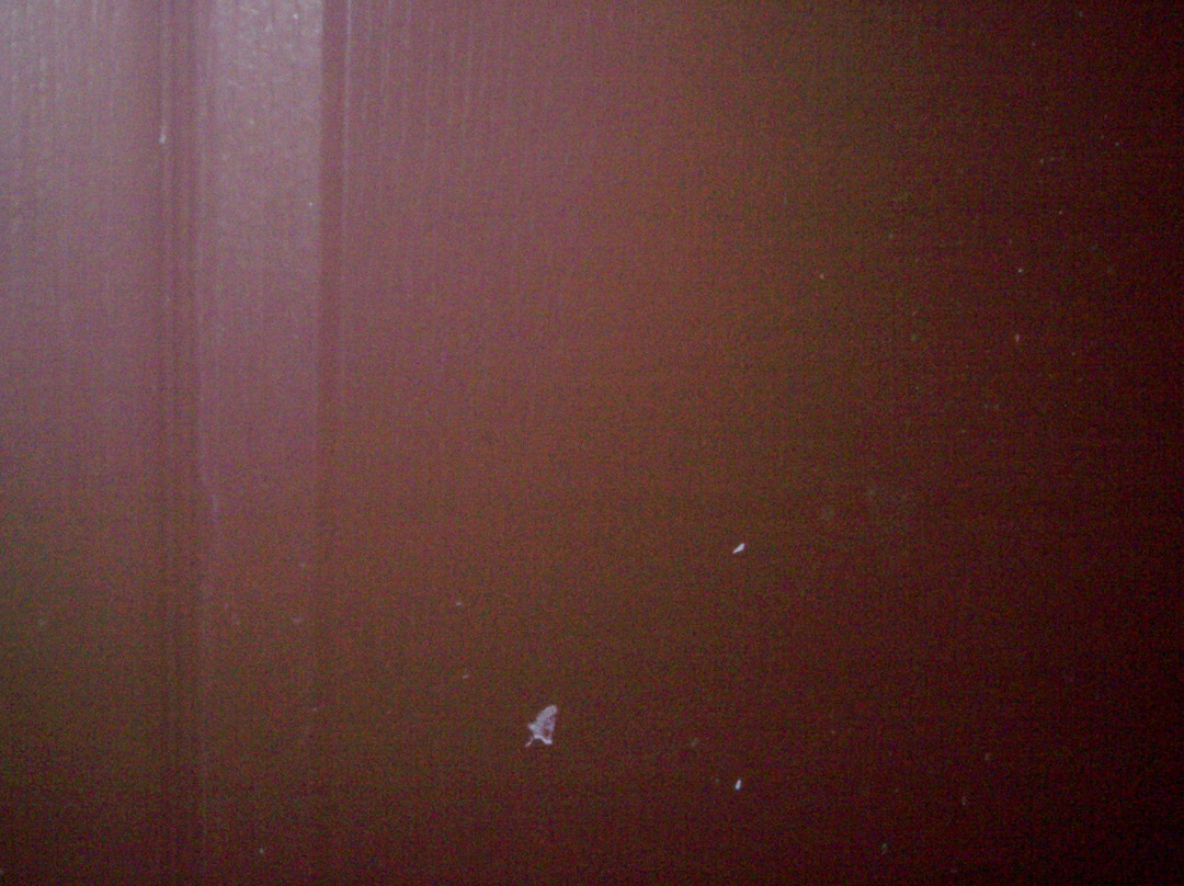 Comfort Inn & Suites主图