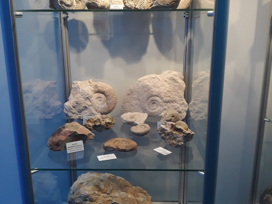 PGE Giganty Mocy - exposition景点图片