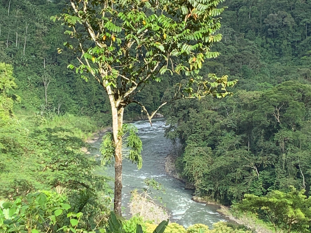 Costa Rica Rios景点图片