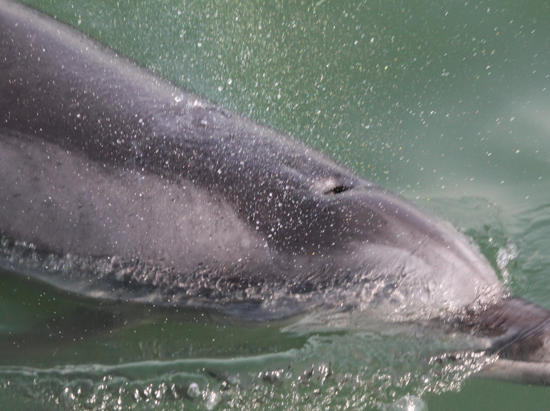 Flamingo Travel Namibia-温德和克必去景点