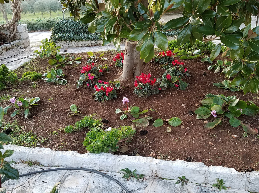 Masseria Paretano主图