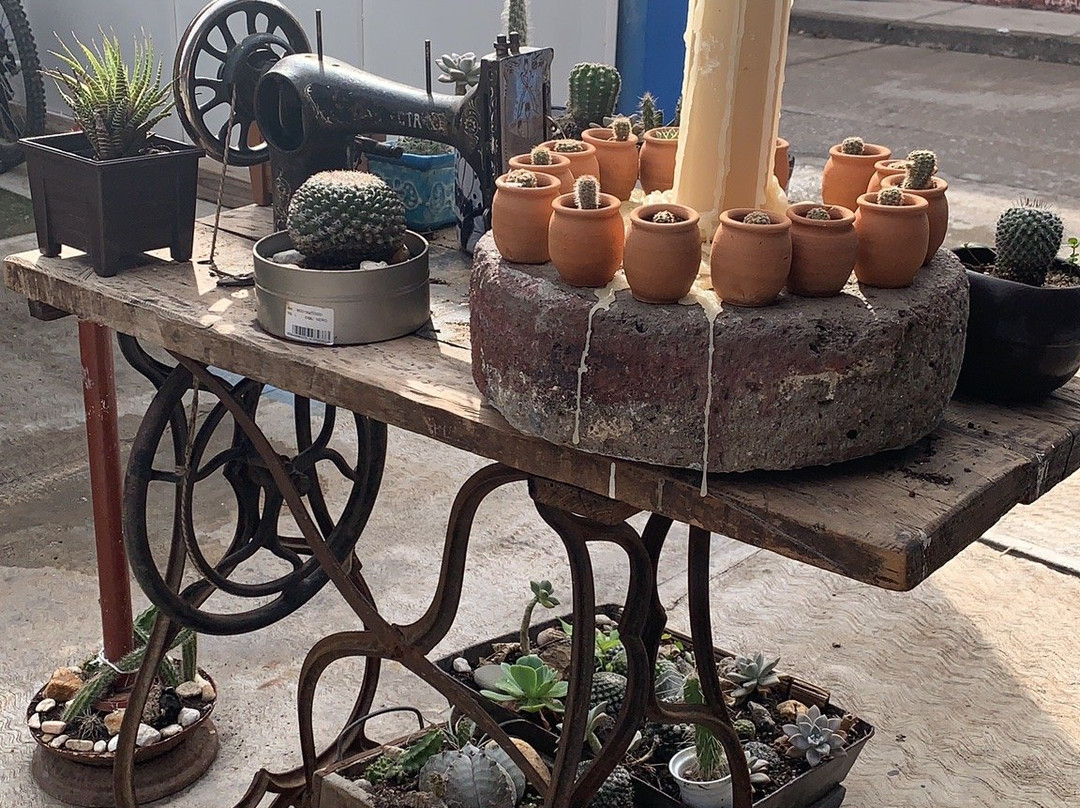 Guadalcazar旅游攻略图片