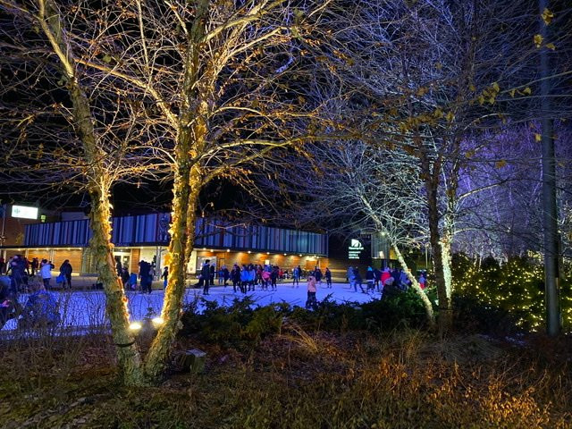 Tom Taylor Trail-Newmarket必去景点