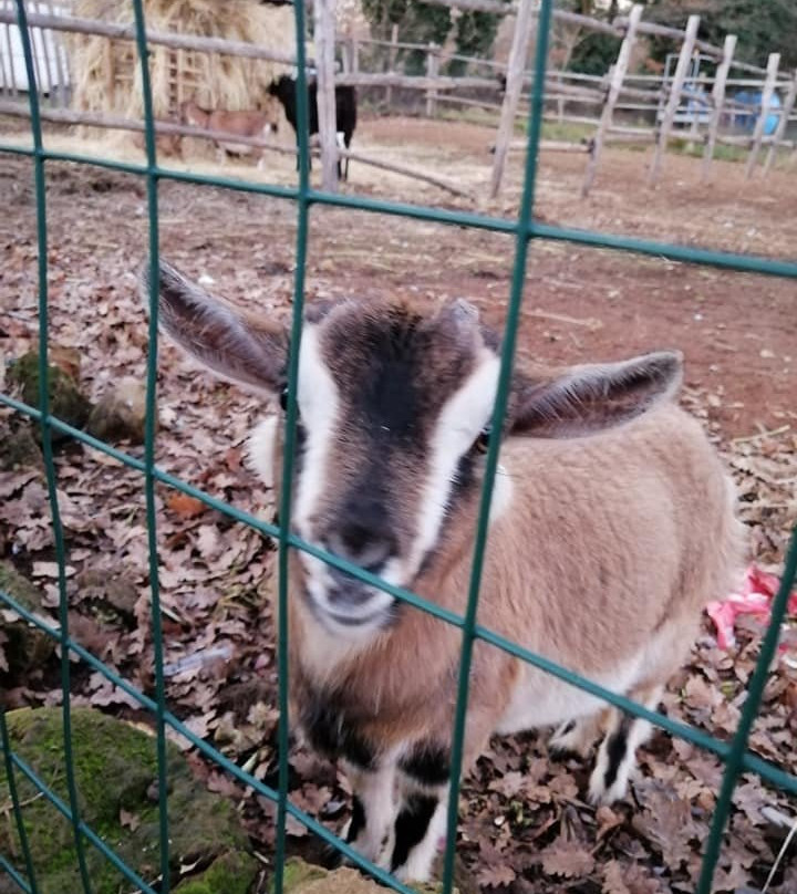 Bio Agriturismo Aia del Tufo主图