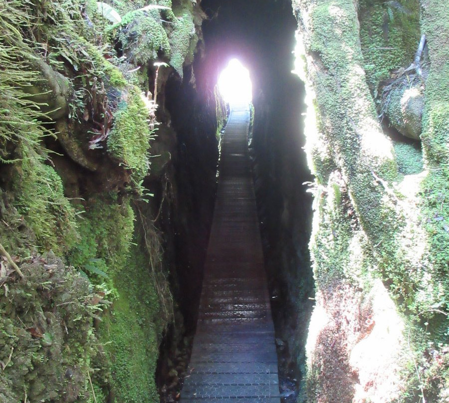 Tunnel Terrace Walk景点图片