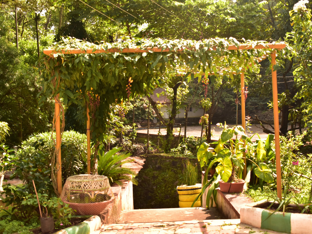 The Wildernest Homestay主图
