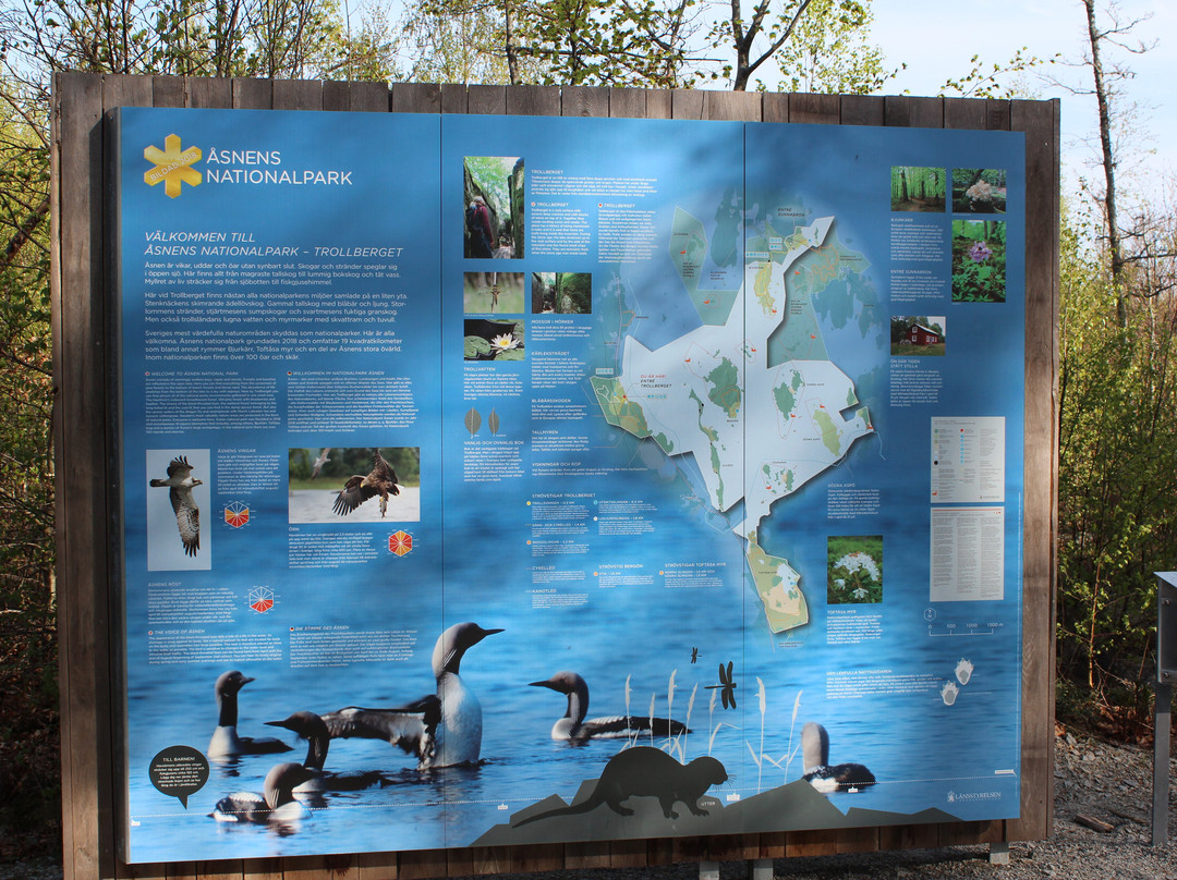 Åsnens National Park-韦克舍必去景点