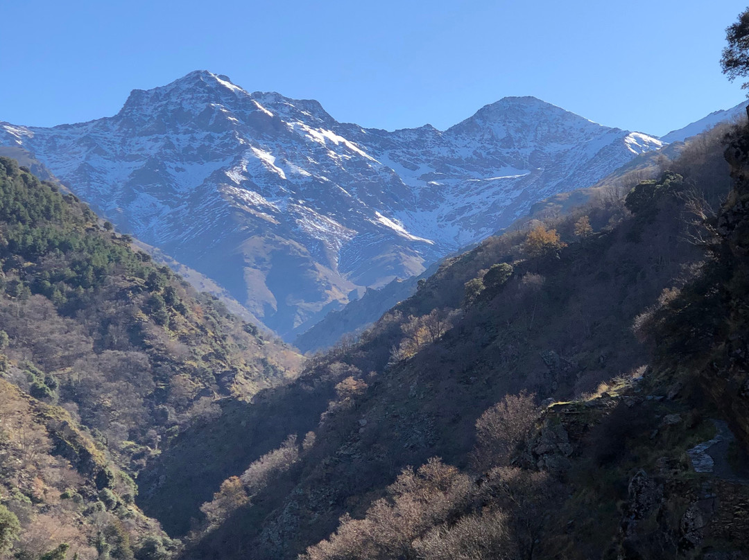 La Vereda de la Estrella景点图片