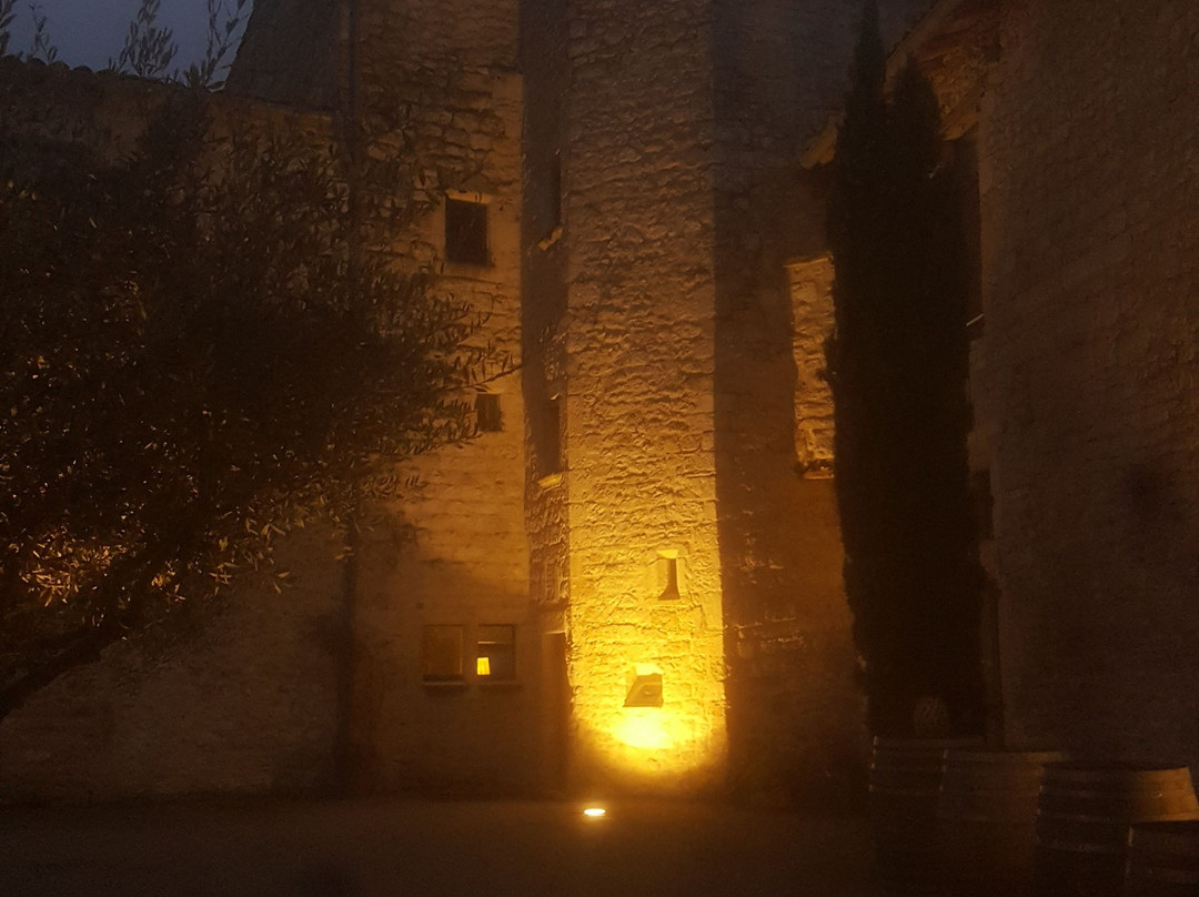 Château de Salettes主图