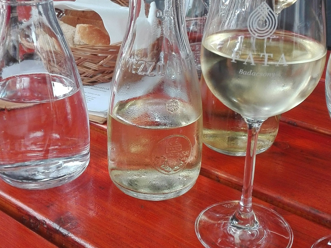 Fata Cellar景点图片