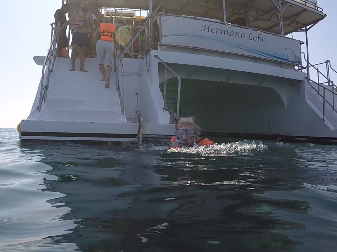 Seven Bay Snorkel Cruise-瓦图尔科必去景点