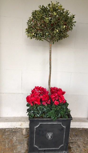 Valentines Mansion & Gardens景点图片