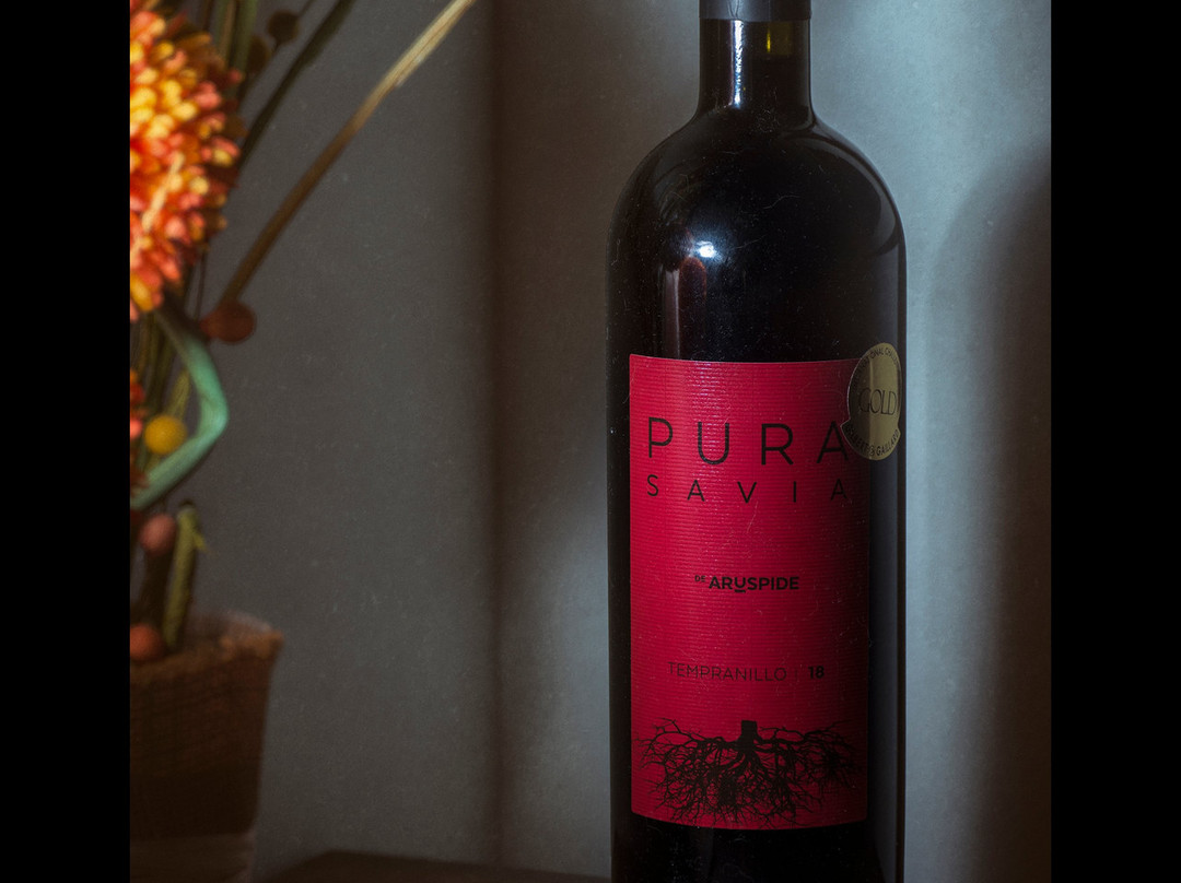 Bodegas Aruspide景点图片